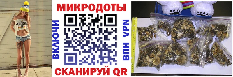 Псилоцибиновые грибы Cubensis  Купить где  Рыльск 